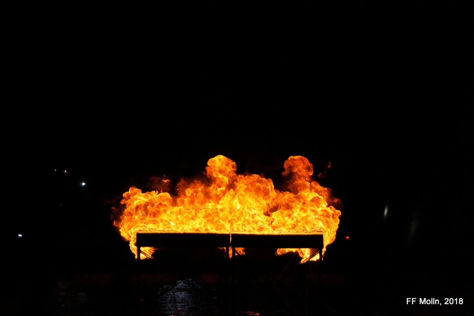 SONY DSC